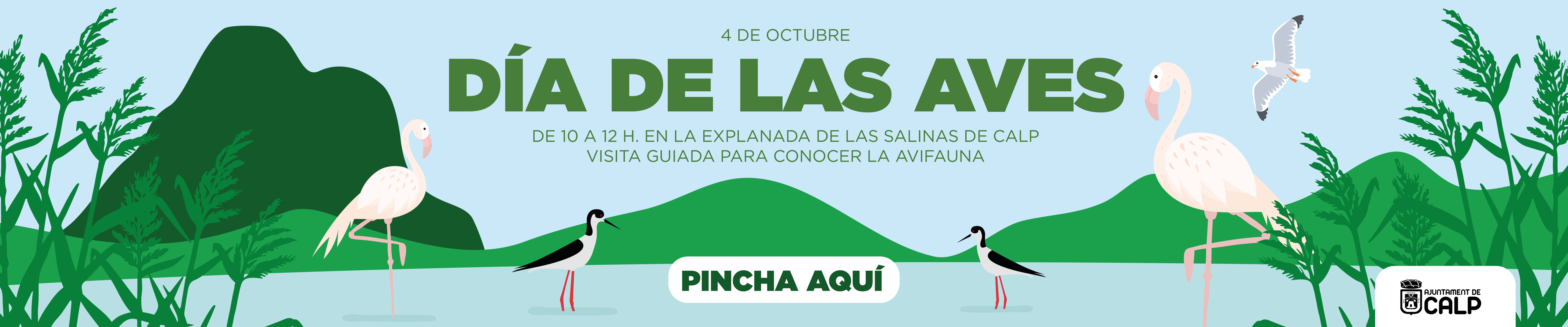 Día de las Aves 2025