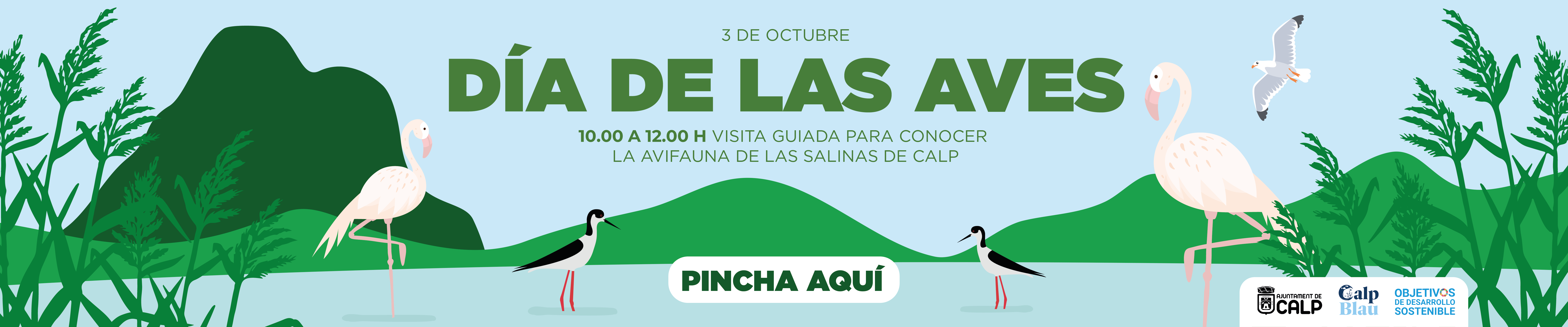 D&iacute;a de las Aves 2026
