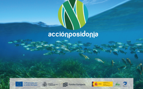 ENCUENTRO CON EL SECTOR PESQUERO. ACCIÓN POSIDONIA OCEÁNICA EN EL MEDITERRÁNEO